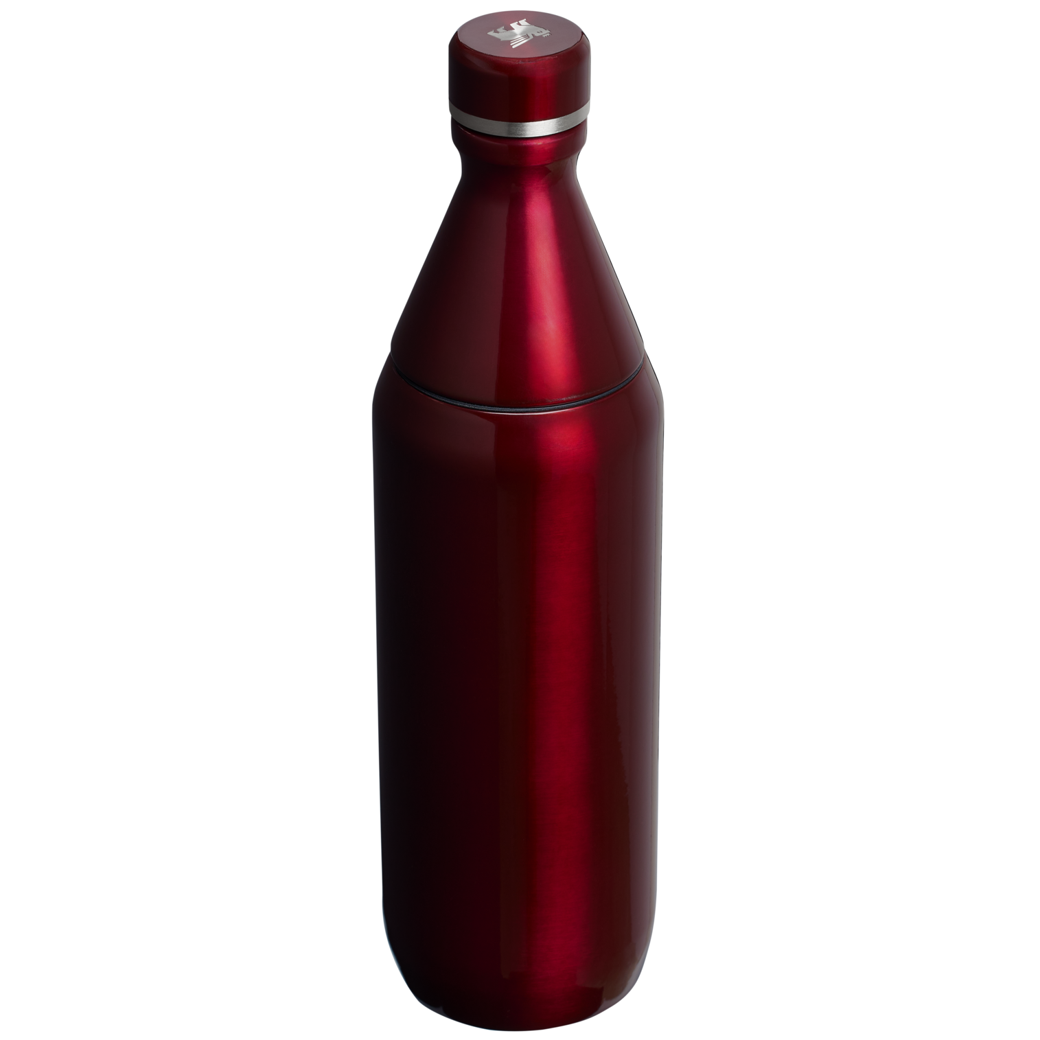 All Day Slim Bottle | 20 OZ - Stanley Create - Image 29
